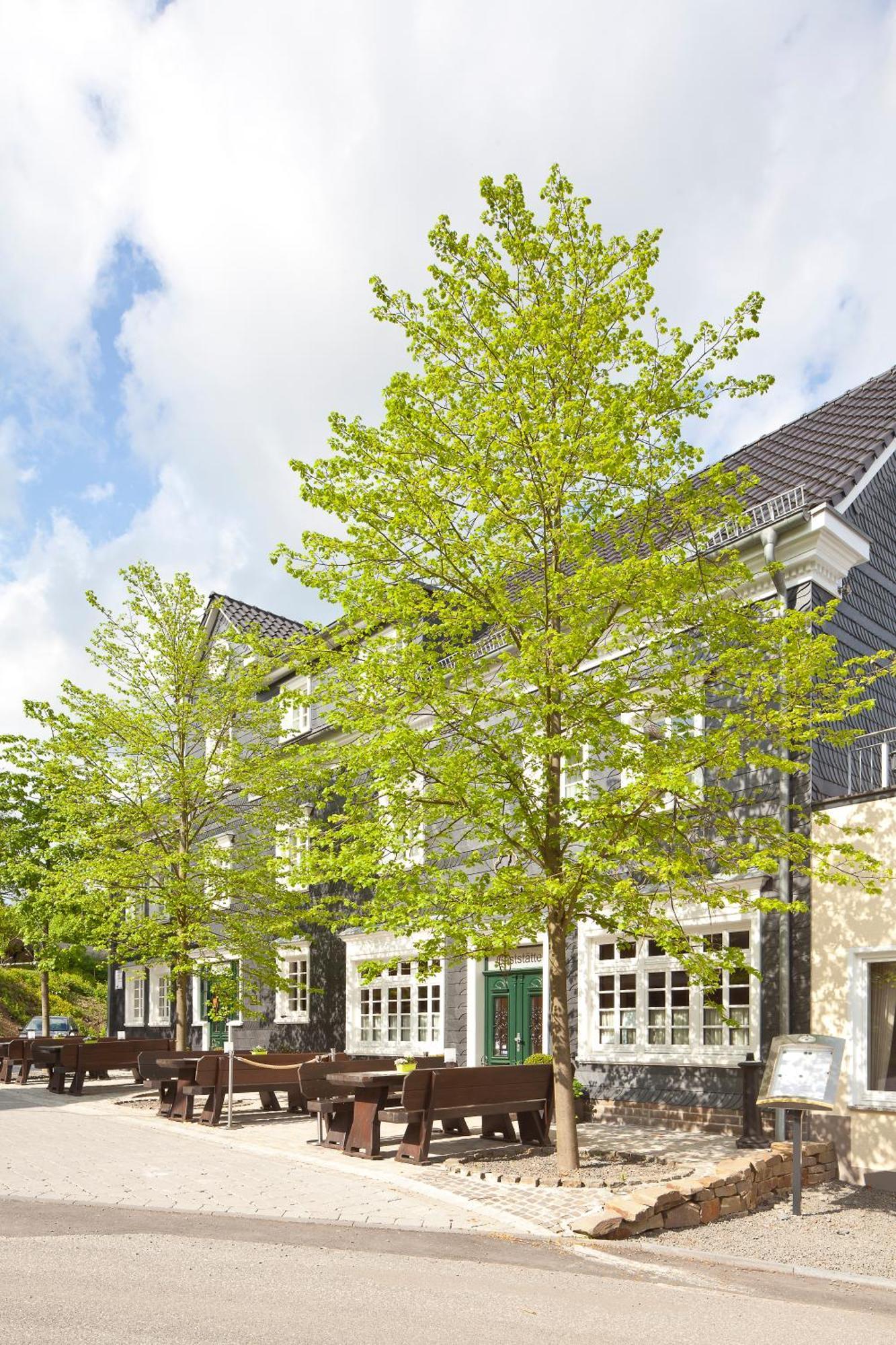 Hotel Zu Den Drei Linden à Wermelskirchen Extérieur photo